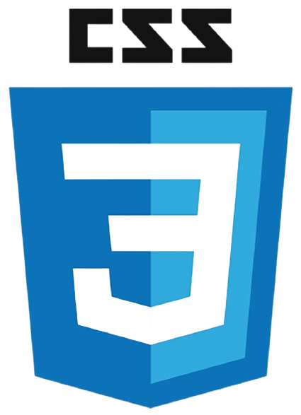 CSS Logo